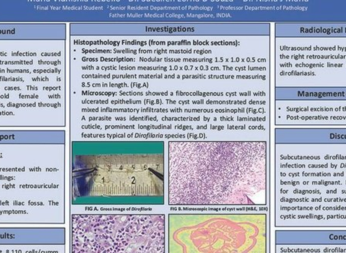 From mosquito to microscope