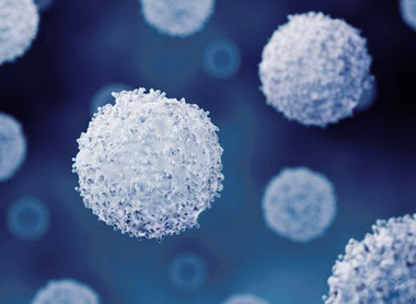 Immunology (Lymphocytes).jpg