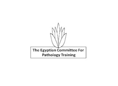 The Egyptian Comittee for Pathology Training logo - new.jpg