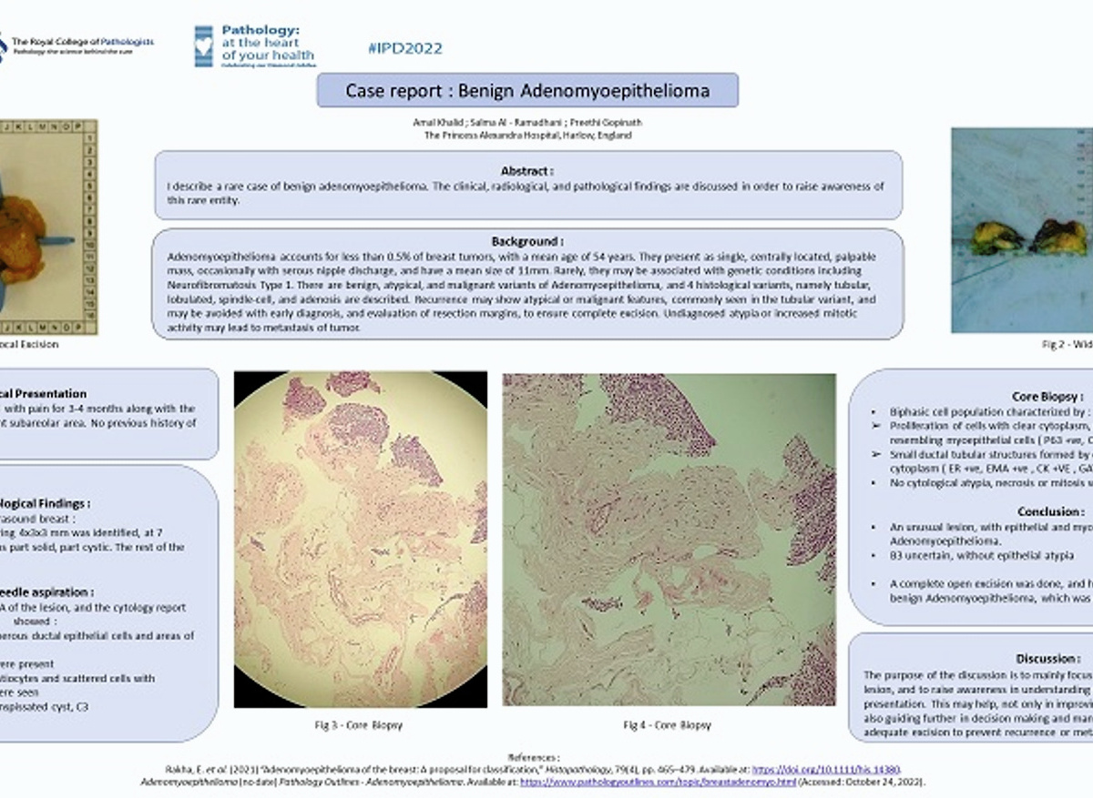 Poster competition winners