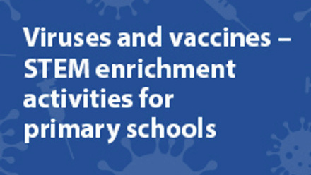 V&V primary-stem resources