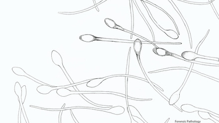 Incredible You_Forensic Pathology Sperm Cells_Page_2.jpg