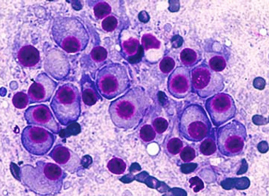 Photo for page 62_resized.jpg