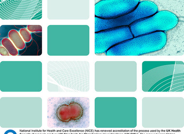 Bacteriology & Identification image-sm.jpg