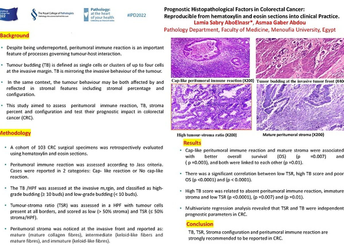 Poster competition winners