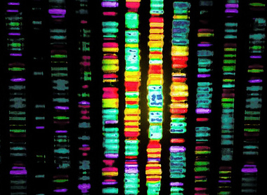 Genome sequencing_resize2.jpg