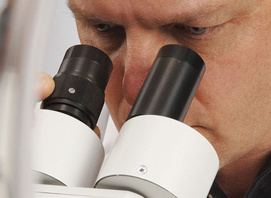 male_pathologist_microscope_histopathology_microbiology_9519871_785x400px.jpg