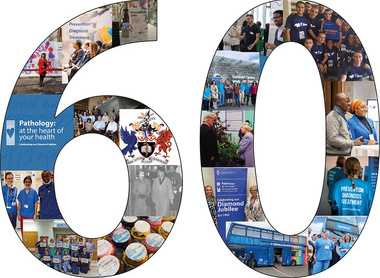 July 2022 bulletin banner.jpg