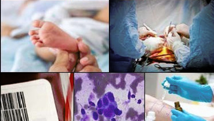 Cover image Bulletin Oct 2022.jpg