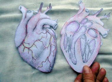 coloured in hearts.jpg