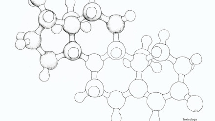Incredible You_Toxicology Testosterone (Steroid Hormone)_Page_2.jpg
