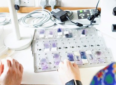 thumbnail_cover image 3.jpg