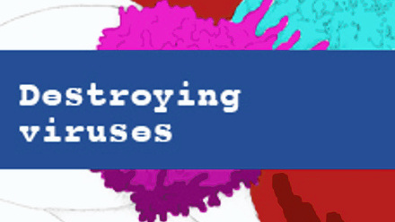 Viruses and Vaccines - destroying viruses.jpg