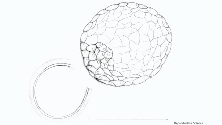 Incredible You_Reproductive Science_Page_2.jpg