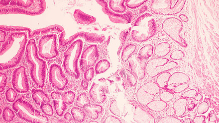 October bulletin banner.jpg