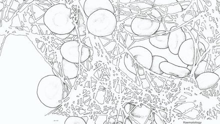 Incredible you_Haematology Blood Clot_Page_2.jpg