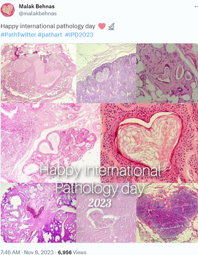 X post 1 IPD 2023 .png