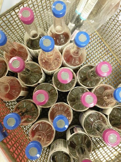 Blood culture samples that have been analysed in the laboratory.