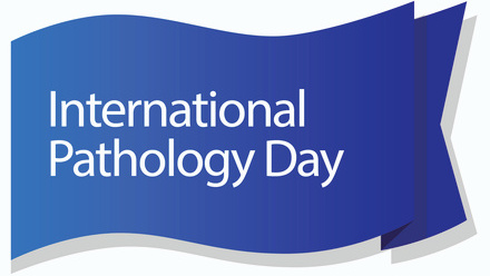 IPD Main Logo-04.jpg