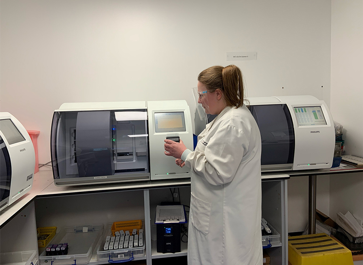 IDEXX Laboratory in Wetherby