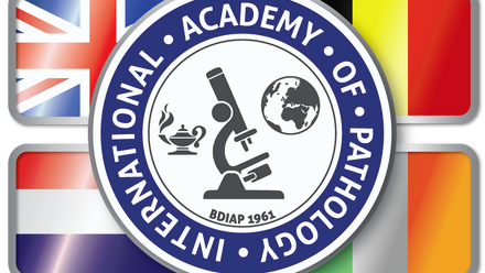 The flag logo of the British Division of the International Academy of Pathology