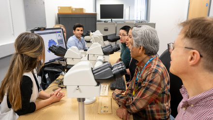 Cellular pathology trainees at microscopes being trained