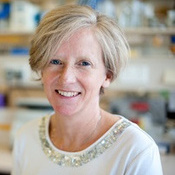 Professor Sarah Coupland