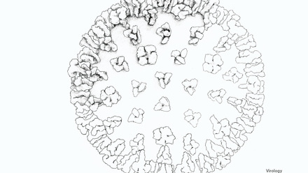 Incredible You_Virology Flu Virus_Page_2.jpg