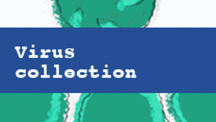 Virus Collection.jpg