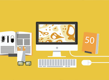 RCPath Careers Research Small.png