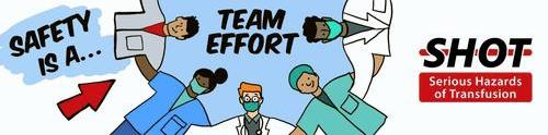 A team of healthcare workers with the slogan Safety is a Team Effort