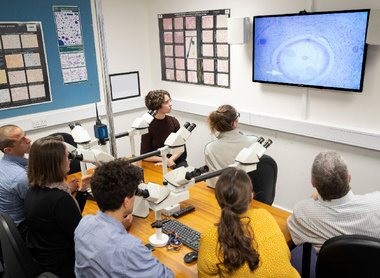 Trainees looking at screen_low res.jpg