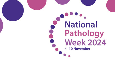 NPW 2024 Twitter Header v2.jpg 3