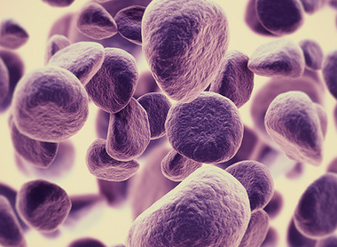 Cancel cancer banner