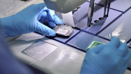 Scientist embedding tissue_low res.jpg