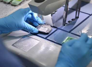 Scientist embedding tissue_low res.jpg