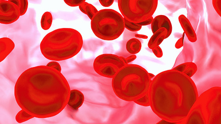 red-blood-cell-blood-vessel-copy.jpg