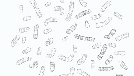 Incredible You_Genetics Chromosomes_Page_2.jpg