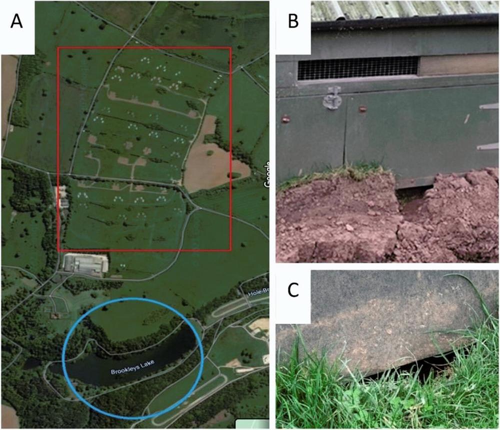 2 Figure A, B, C Reid et al 2024