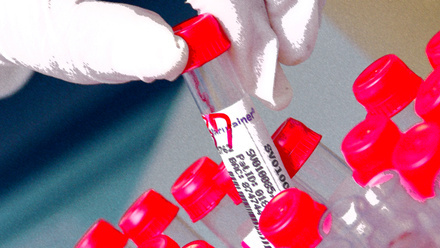 test_tubes_smudge_general_lab_785x400.jpg
