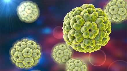 medical microbiology and virology.jpg