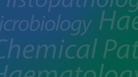 Ghana lecture series 2 banner.jpg