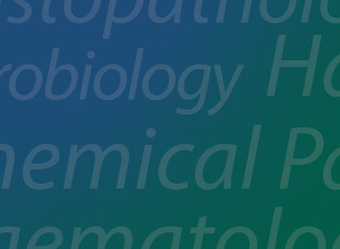 Ghana lecture series 2 banner.jpg